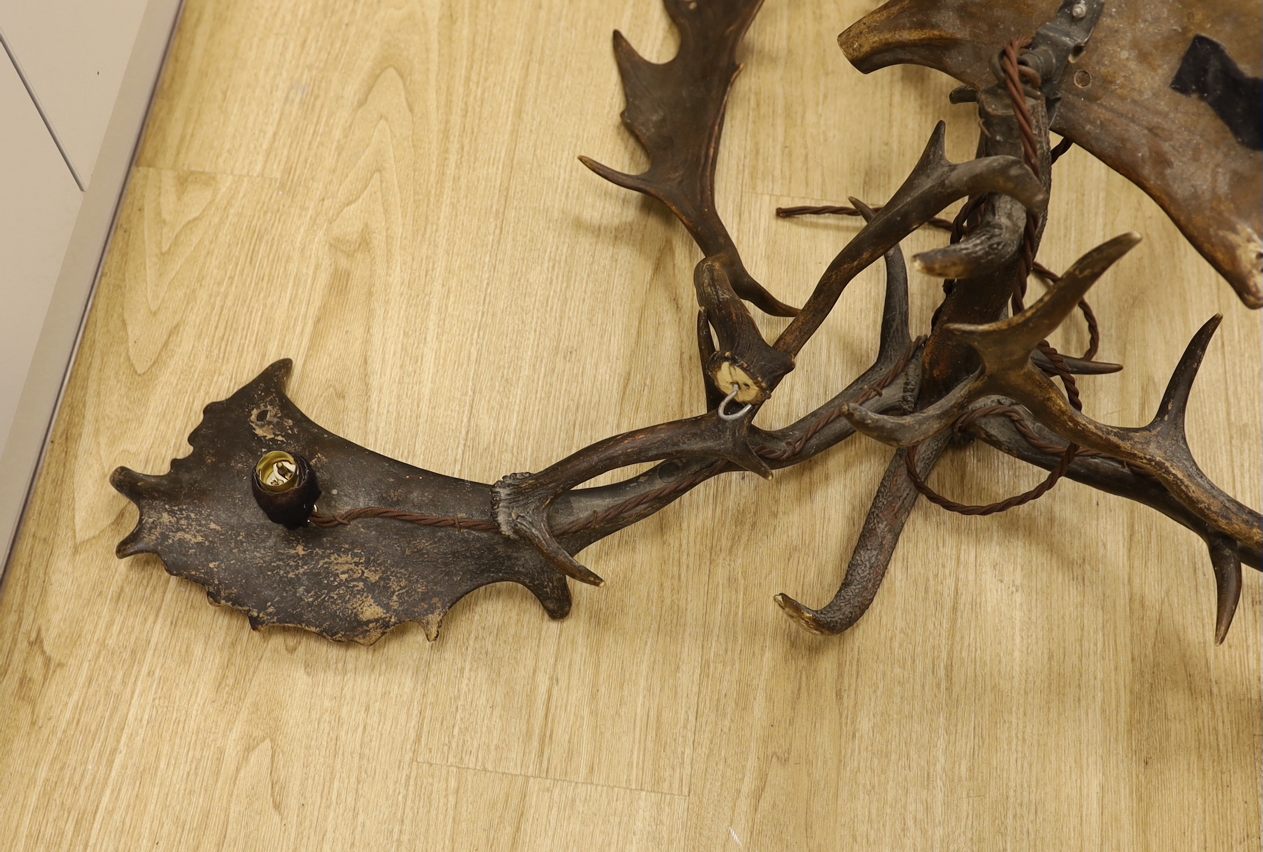 A stag antler chandelier